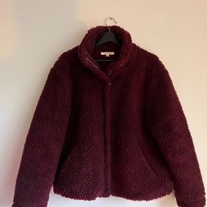 teddy jacket